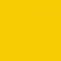 Intense Yellow Mat E3110M 21 x 29 cm