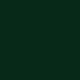 Oracal 621-060 - dark green breedte 30,5 cm