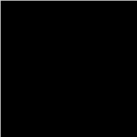 Statische Raamfolie Zwart Glossy A4 (Penstick)