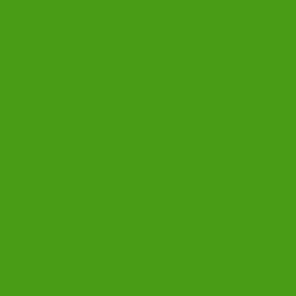 Oracal 621-063 - lime-tree green breedte 30,5 cm