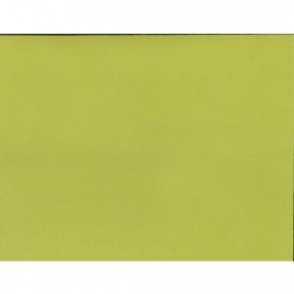 Key Lime Adhesive Backed Cardstock 25 Pack