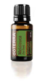 Tea Tree (Melaleuca) - 15 ml