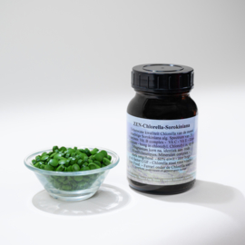 ZEN - Chlorella - 100% Sorokiniana alg - normale pot met 750 tabletjes a 200 mg
