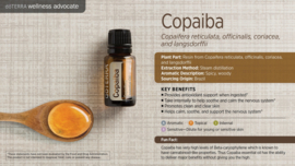 Copaiba - 15ml