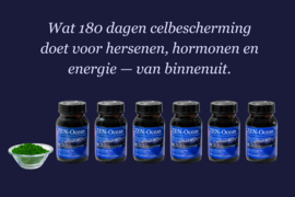 ZEN-Ocean - Abonnement 6 maanden poeder - 100gr poeder per maand (u ontvangt per direct 6 potten)