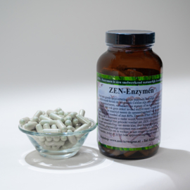 ZEN - Enzymen - 240 capsules a 430 mg