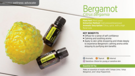 Bergamot - 15 ml