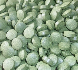 ZEN -Tarwegras - grote pot met 600 tabletten a 500 mg - 300 gram inhoud - kuur voor 2 maanden