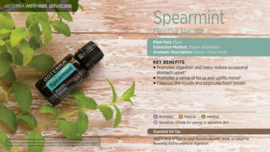 Spearmint - 15ml