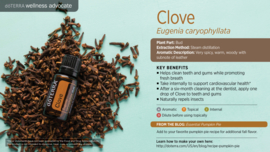 Cloves (Kruidnagel) - 15 ml