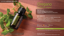 Oregano - 15 ml