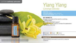 Ylang Ylang - 15ml