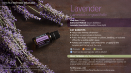 Lavendel - 15 ml