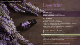Lavender Touch - 10 ml Roller
