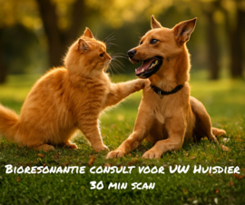 Bio Resonatie scan voor uw huisdier - 30 minuten