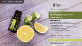 Lime (Limoen) - 15 ml