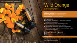 Wild Orange - 15 ml