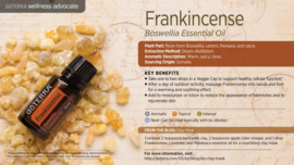 Frankincense Touch - 10 ml Roller