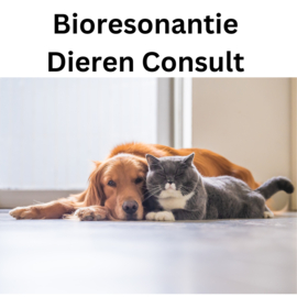 Bioresonantie Dieren Consult