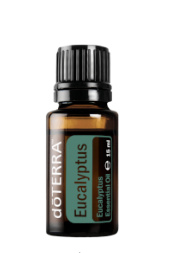 Eucalyptus  - 15 ml