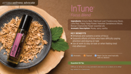 InTune - Focus Blend- 10 ml - Roller