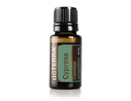 Cypress - 15 ml