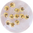 metal studs 7 goud sea shell
