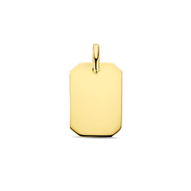 Gouden hanger U574