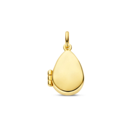Gouden medaillon hanger U369