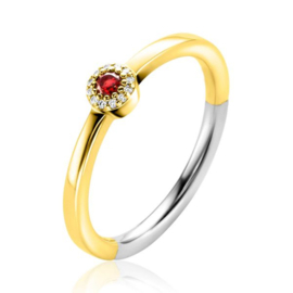 Zinzi ring ZIR2560