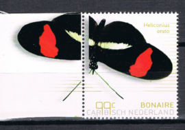 BONAIRE 2024 VLINDERS BUTTERFLIES PAPILLONS