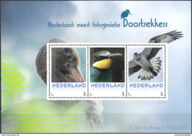 NEDERLANDSE VOGELS BIRDS  ++ M1-85