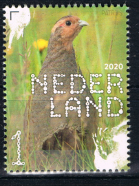 NEDERLAND VOGELS BIRDS 6/10 ++ D(B) 183