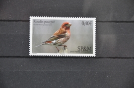 ST. PIERRE 2016 VOGELS BIRDS OISEAUX ++ I 242