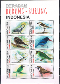 INDONESIË 2023 INDONESIA BURUNG BURUNG VOGELS