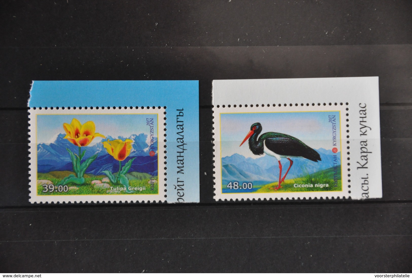 KIRGISTAN 2017 VOGELS  ++ S 299