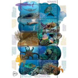 2024 4 VELLEN "BELEEF DE NATUUR BONAIRE"  ++ C 126