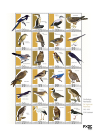 BONAIRE 2022 VOGELS BIRDS ++ M