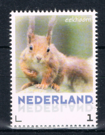 NEDERLAND 2013 NVPH VEL EEKHOORN SQUARREL ++ L 498