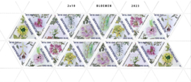 REP. SURINAME 2023 BLOEMEN VEL 2 SERIES