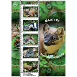 OP SAFARI IN NEDERLAND MARTERS  ++ D(B) 208