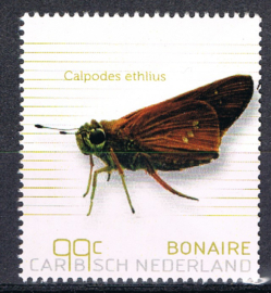 BONAIRE 2024 VLINDERS BUTTERFLIES PAPILLONS