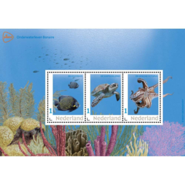 2024 BELEEF DE NATUUR BONAIRE ONDERWATER ++ C 126