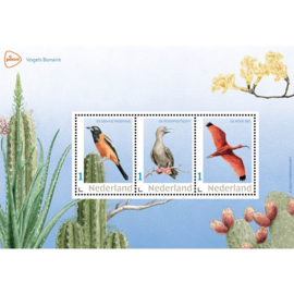 NEDERLANDSE VOGELS BIRDS BONAIRE  ++ D ( C)