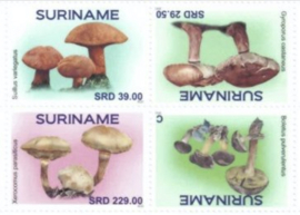 REP. SURINAME 2022 PADDESTOELEN MUSHROOMS IN VERTICALE STROOK!!!!!