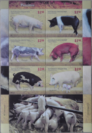 ARGENTINIË 2011 VARKENS ZWIJNEN ++ M