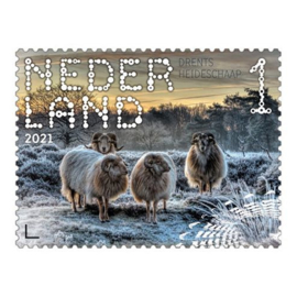 NEDERLAND DWINGELDERVELD SCHAAP ++ D(B) 200