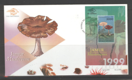 INDONESIË FDC SHP 1999-B 163