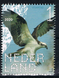 NEDERLAND VOGELS BIRDS 3/10 ++ D(B) 182