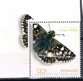 BONAIRE 2024 VLINDERS BUTTERFLIES PAPILLONS